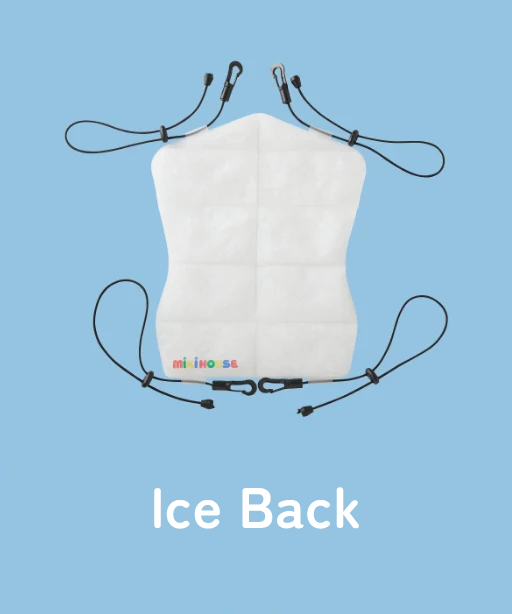 Ice Back